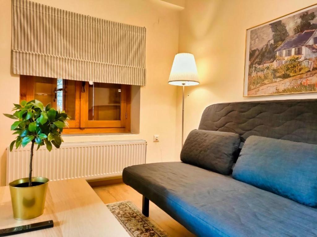 Economy Apartment Metsovo